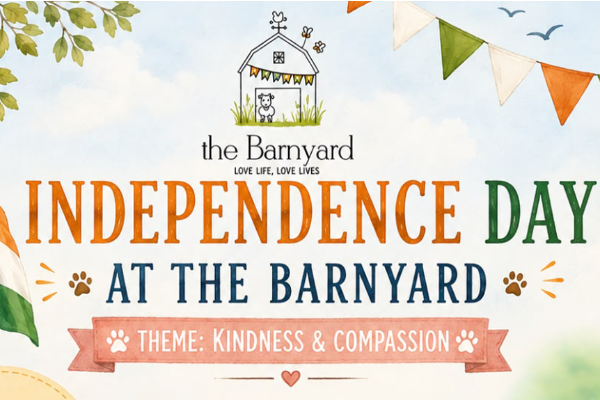 Independence Day @ The Barnyard