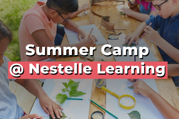 Summer Camp @ Nestelle Learning