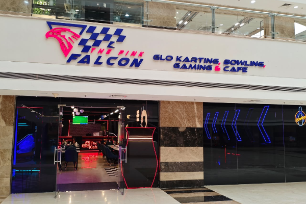 The Pink Falcon- Gurugram