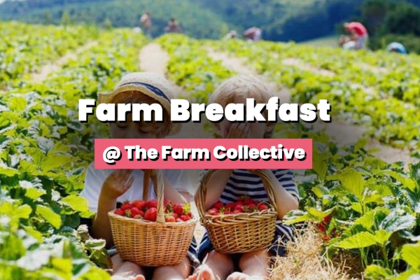 Farm Breakfast Experience @ The Farm Collective