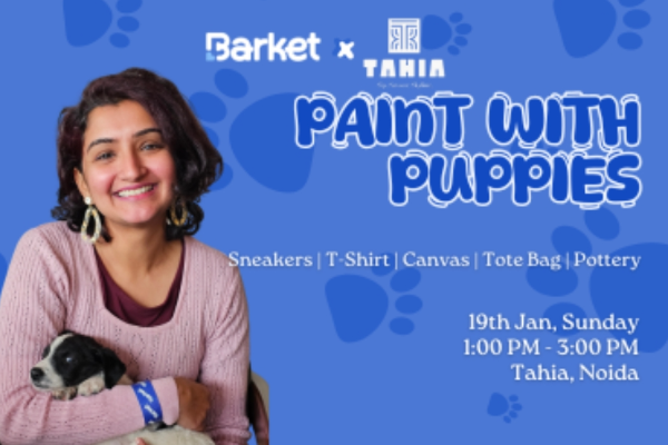 Paint With Puppies By Barket - Tahia Noida