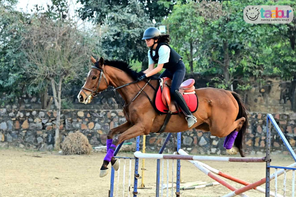 CanterWoods Equestrian Centre