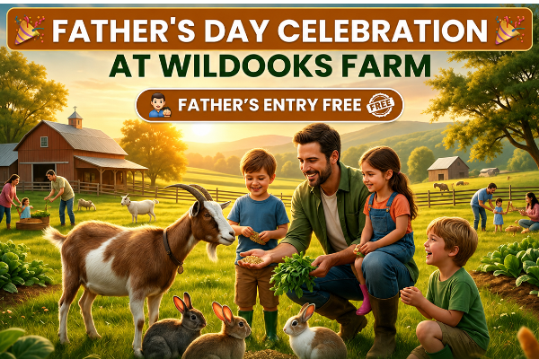 Father's Day @ WildOoks - Petting Farm