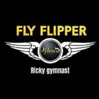 Fly Flipper