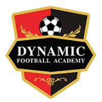 Dynamic Football Academy - Sector 49
