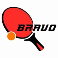 Bravo Stag Table Tennis Academy