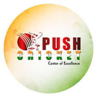 PUSH Cricket Academy - The Dome