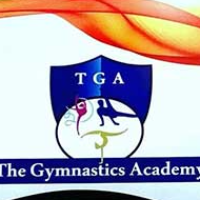 The Gymnastic Academy