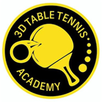 3D Table Tennis Academy