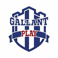 Gallant Play Arena - Greater Noida