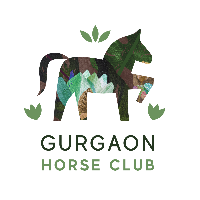 Ride, Roam and Play at Gurgaon Horse Club