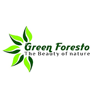 Green Foresto Daycare & Preschool